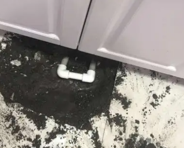 岭东查漏水哪家好
